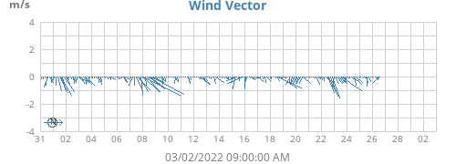 Wind Vector